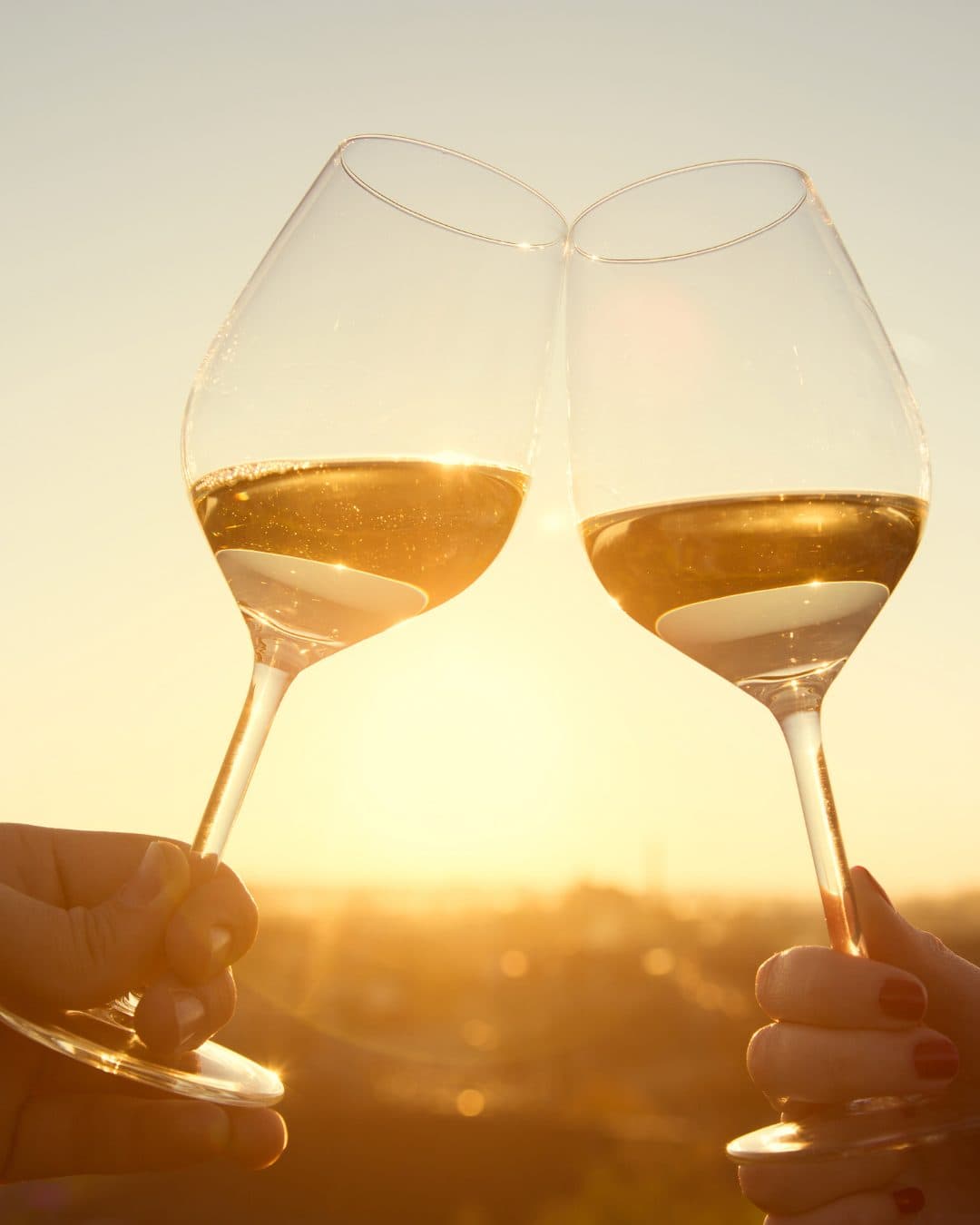 Degustazione vini locali