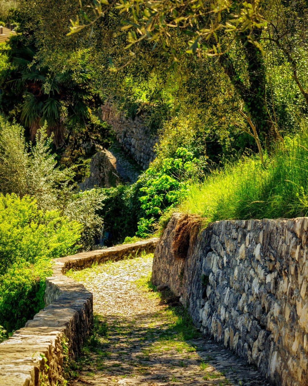 Passeggiata sulla Greenway